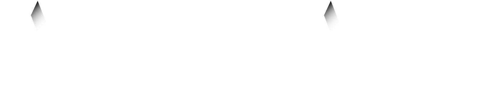 Alterads Ltd. — Digital Marketing Agency Mauritius